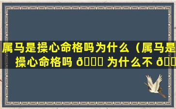 属马是操心命格吗为什么（属马是操心命格吗 🐈 为什么不 🐺 能结婚）